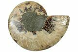 Cut & Polished Ammonite Fossil (Half) - Madagascar #310663-1